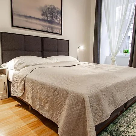 Apartment Ruedigergasse