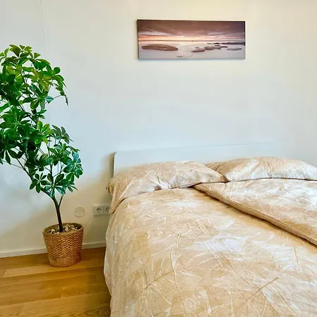 Riverfront Apartment With Balcony & Ac