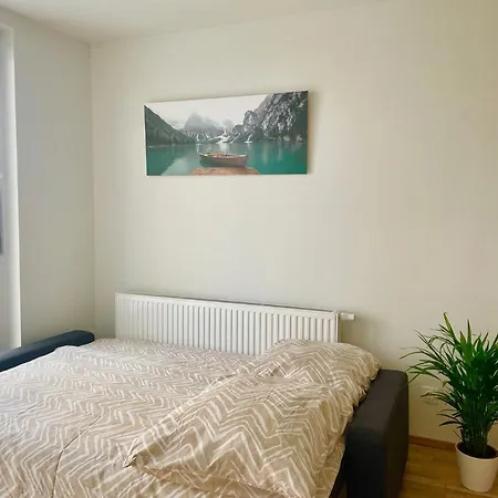 Bright Flat In Central Vienna
