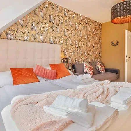 Dry Flower Apt. / 2Br. / Rooftop / New