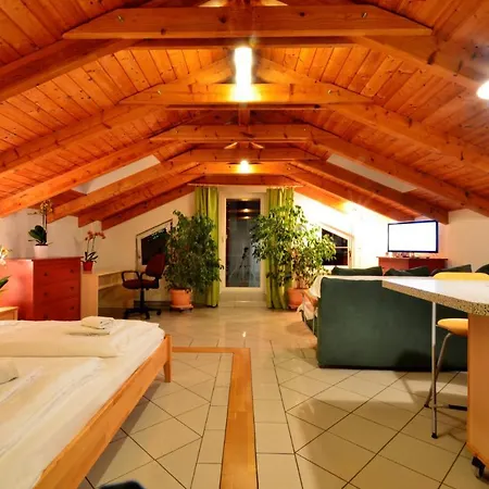 Ajo Apartments - Alte Donau Lake View Penthouse - Self-Check-In