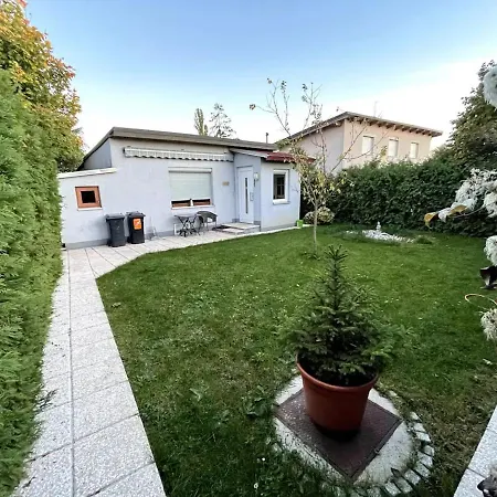 Cheerful Tiny House Vila