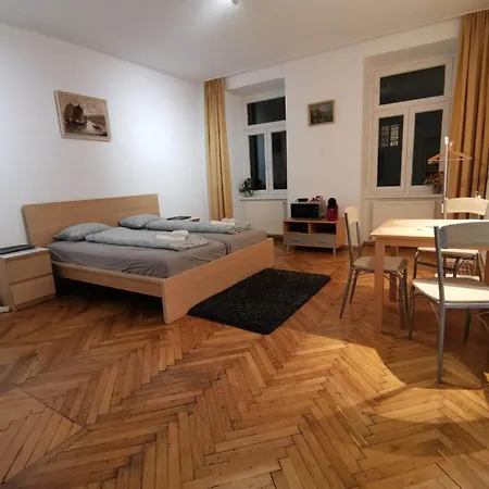 Center Of The Veinna - Room