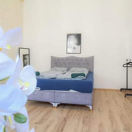 Ss Family 3 Bedroom Apartment In Praterstern Area Dw8