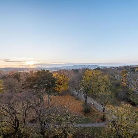 New! Amazing Spacious Schoenbrunn View Apartment