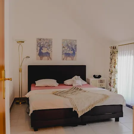 Terrace Apartment Near Volksoper And City Centre