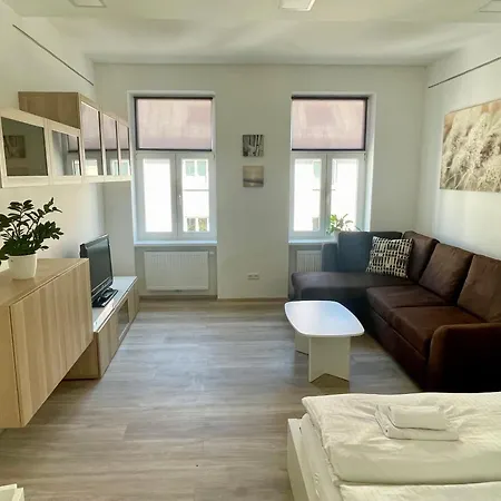 Kleine Studiowohnung In Der Braunhirschengasse