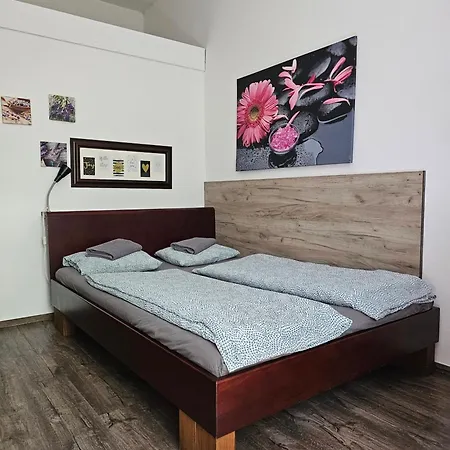 Near Vienna City - Cosy Apartment