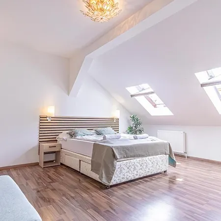 Spacious 3Br Shared Apt, Very Central In Vienna