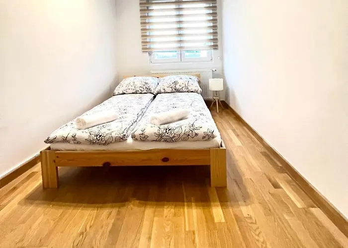 Spacious Apartment With Terrace