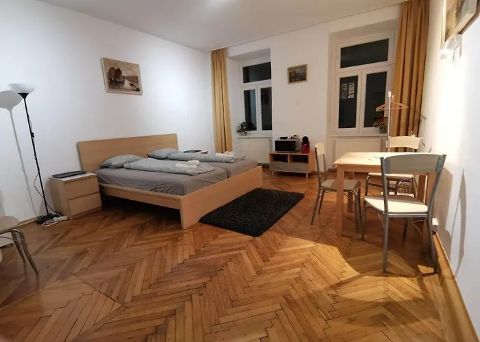 Center Of The Veinna - Room