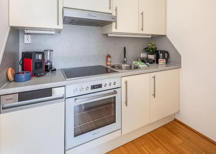 Green Dream Apartment Vienna - 3 Bedrooms And Rooftop Terrace