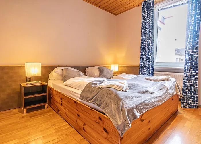 Vienna'S Finest Spacious 2Br & 1Lr Apartment