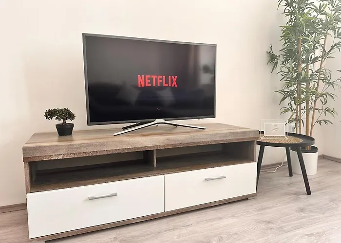 Spacious Netflix Apartment , For 4 People , With Massage Shower