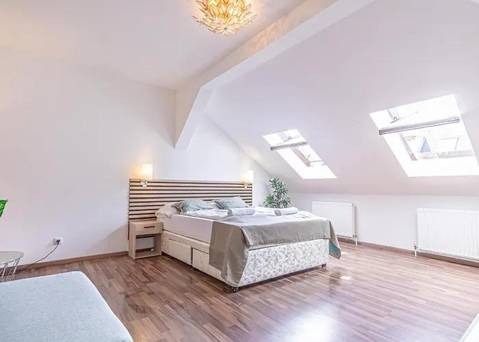 Spacious 3Br Shared Apt, Very Central In Vienna