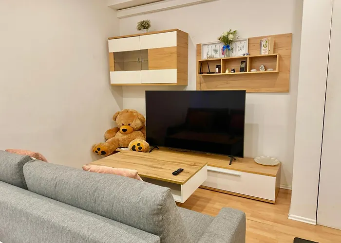 Central Stone Stylish Apartment