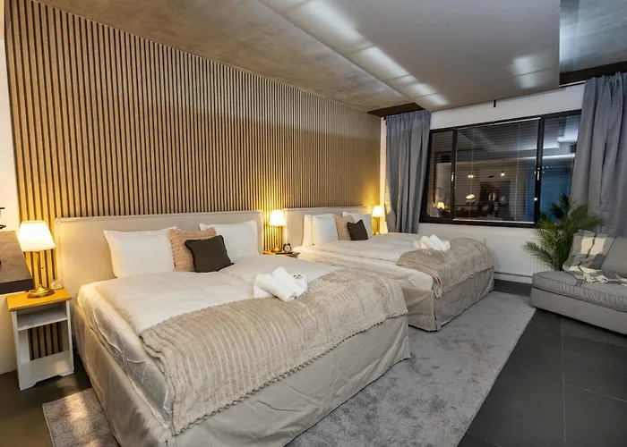 Danube Apartment On Schwedenplatz- 2 King Beds
