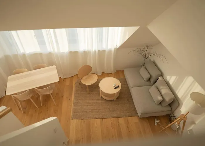 Penthouse With A Terrace Near Schonbrunn Palace