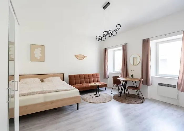 Studio Apartment Schoenbrunn