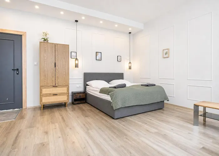 Multiple Apartments And Rooms At The Heart Of Vienna