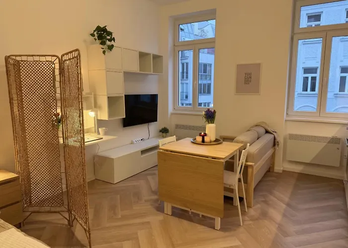Renovated Apartment Near Center