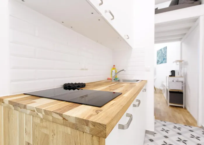 Albert Miniments Loft-Studios in Josefstadt