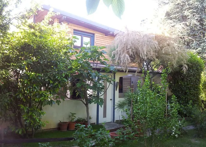 Michael'S Nest