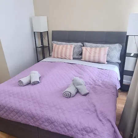 Deluxe Living Apartment