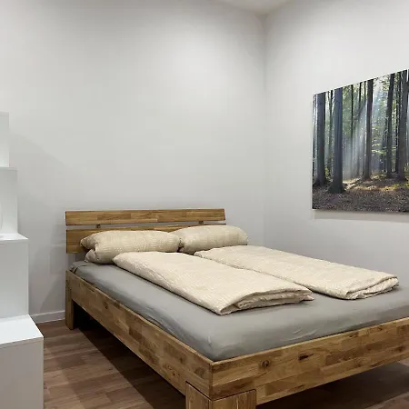 Premium Renovated Flat In Central Vienna Apartamento