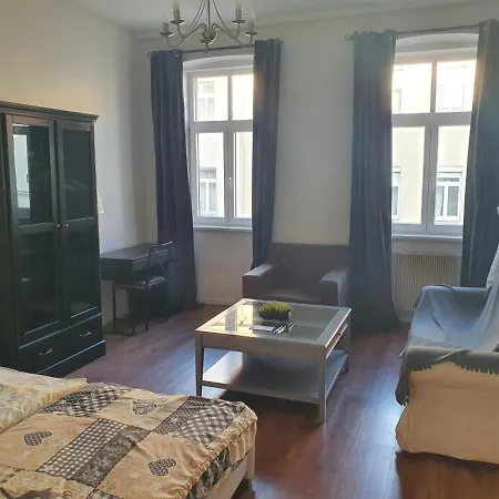 Spacious Apartment Near The Center