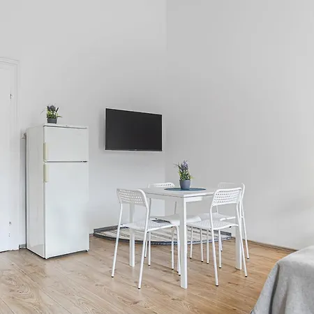 Attractive 2 Bedroom Apt. Near Vienna Akh Ideal For All