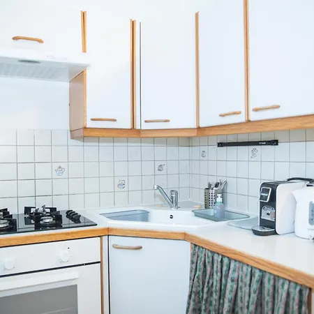 Cozy City Apartments In Center K28