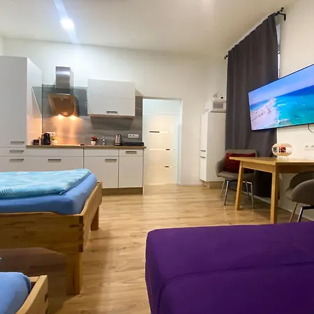 Appartamento Vienna Senator Flat Paulusgasse