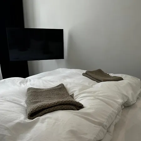 Luxury City Apartment Downtown Vienna
