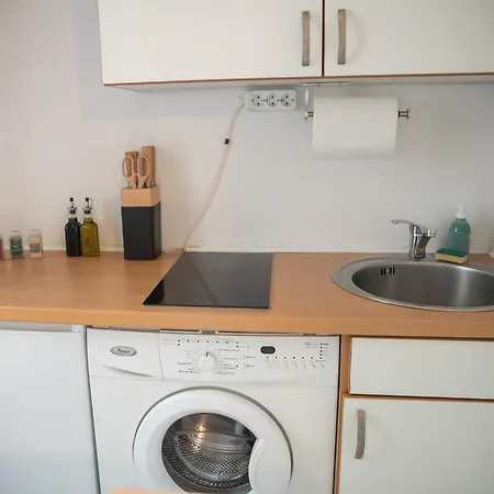 Cozy City Apartments In Center K16