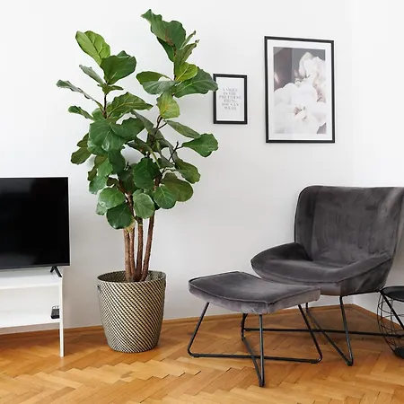 Apartamento #29 Heaven Messe/Prater
