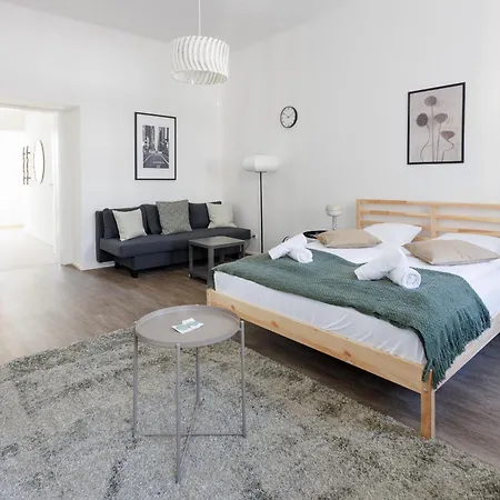 Grosszuegiges City-Apartment