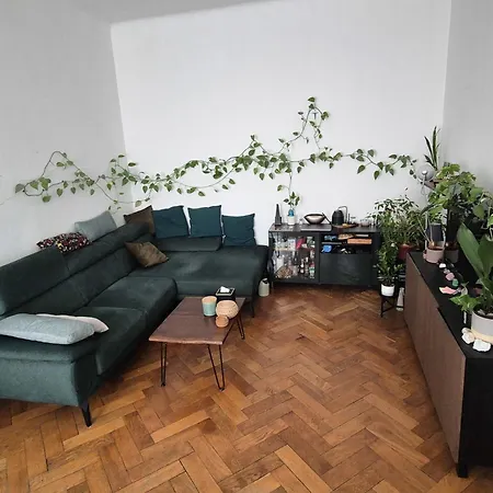 Wohnung Mit Wiener Flair