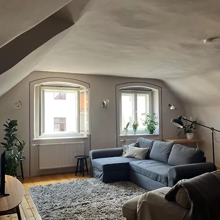 Cozy Loft Apartment