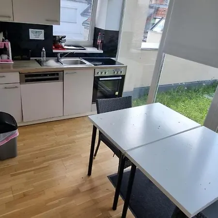 Helles Zimmer Mit Dachterrasse Nahe Schoenbrunn