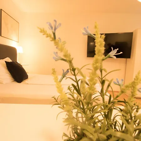 Der Gemuetliche Ort L Lf41 Apartment