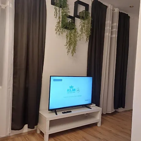 Apartment Vis A Vis Schoenbrunn With Private Parking