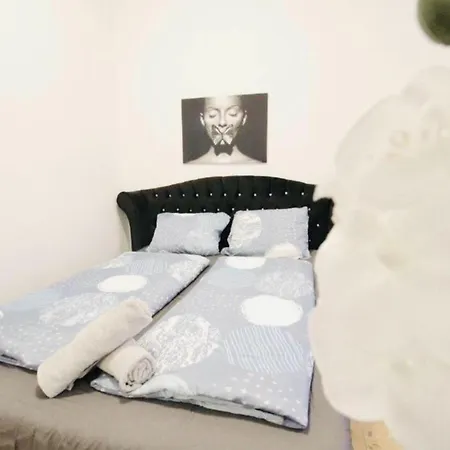 Spacious Cozy 1Br Apt Near To Danube River