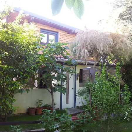 Michael'S Nest Villa