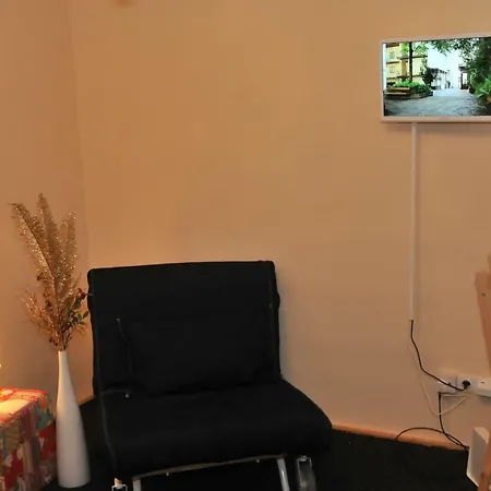Charming Center City Apartment Vienna