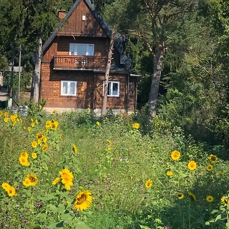 Vacationhome In The Vineyards