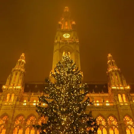 Vienna Home